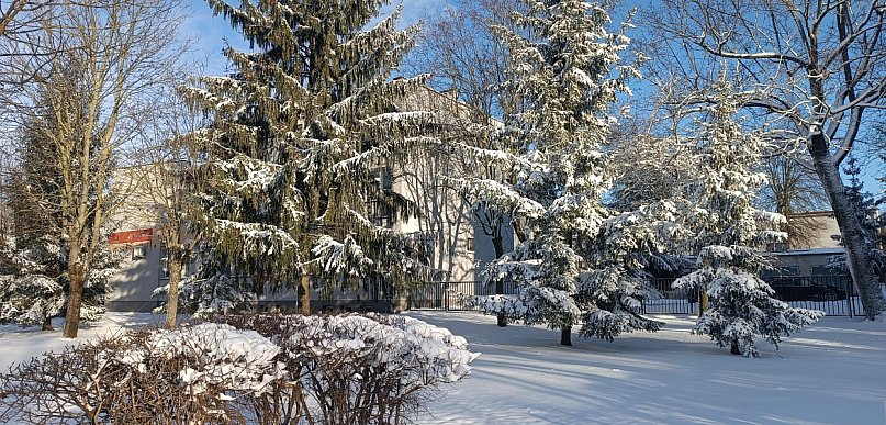Silny mróz w powiecie kolneńskim
