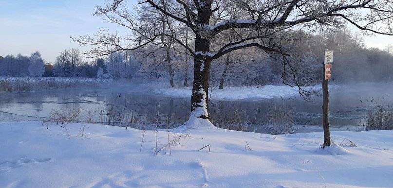 Hydrolog: zapowiada się pierwszy rok od lat bez wejścia w wiosnę z suszą