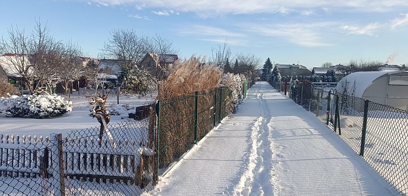 W weekend mroźno z opadami marznącymi, na północnym wschodzie do minus 19 st. C