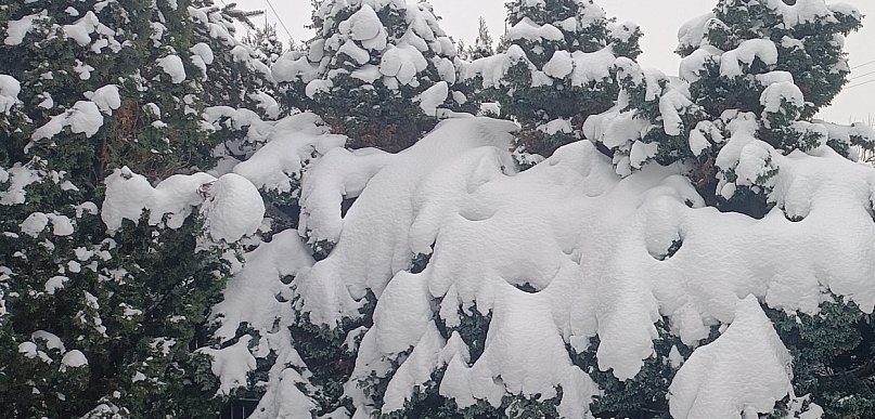 Silny mróz w powiecie kolneńskim