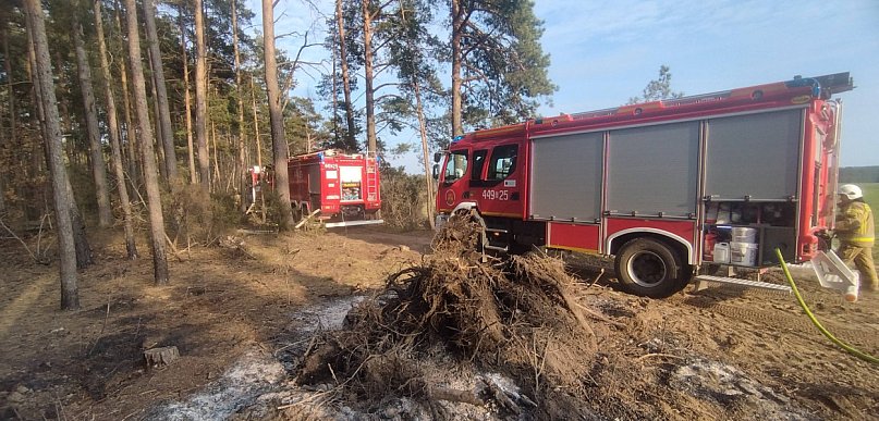 Pożar lasu w gminie Kolno