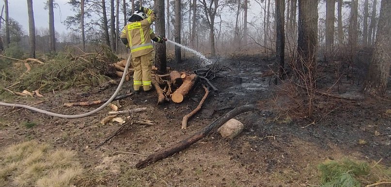 Pożar lasu w okolicach Wincenty (fotorelacja)