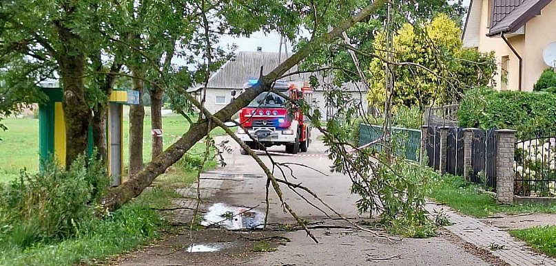 Silny wiatr w powiecie kolneńskim