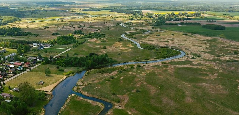 Szczepienia lisów przeciwko wściekliźnie