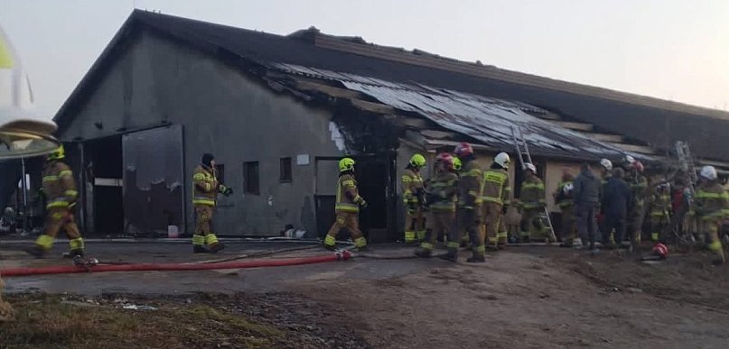 Pomóżmy odbudować oborę rodzinie z gminy Grabowo