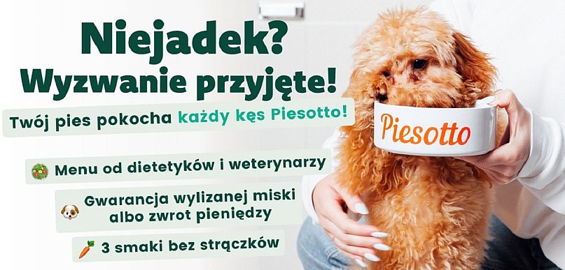 Dlaczego sierść psa mówi więcej niż tysiąc słów?