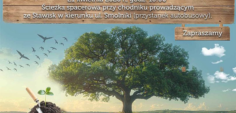 Dęby na 600-lecie (plakat)