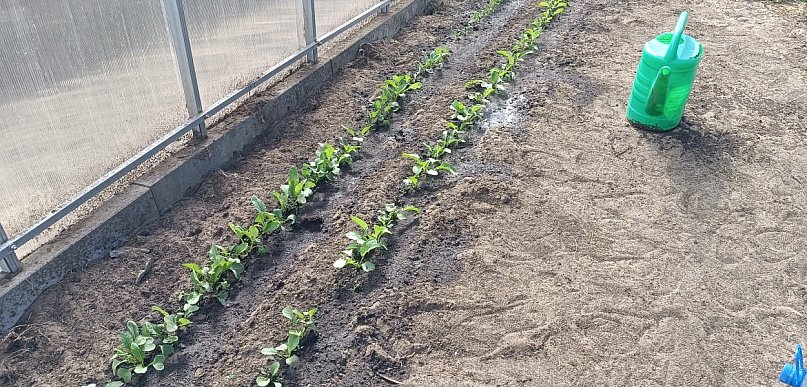 Ostrzeżenie pierwszego stopnia dla miejscowości Kolno i dla okolic