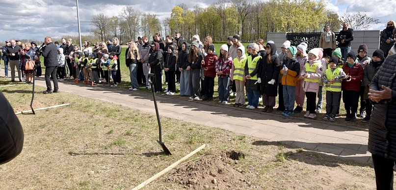 Stawiski świętują 600 lat: dęby symbolem historii miasta