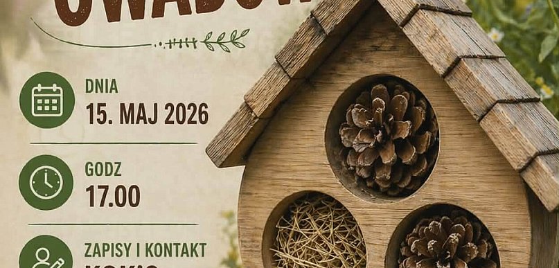KOKiS: Pod okiem instruktorów zbudujesz drewniany domek