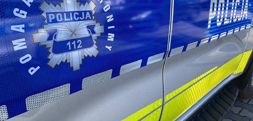 Kierujący samochodem marki Volvo uderzył w łosia