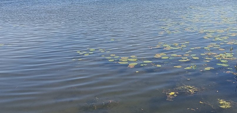 Prognozuje się upał. Temperatura maksymalna w dzień około 30°C