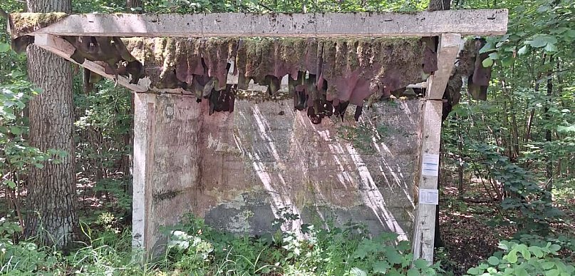 Kolejny przystanek widmo? A może straszydło (fotorelacja)