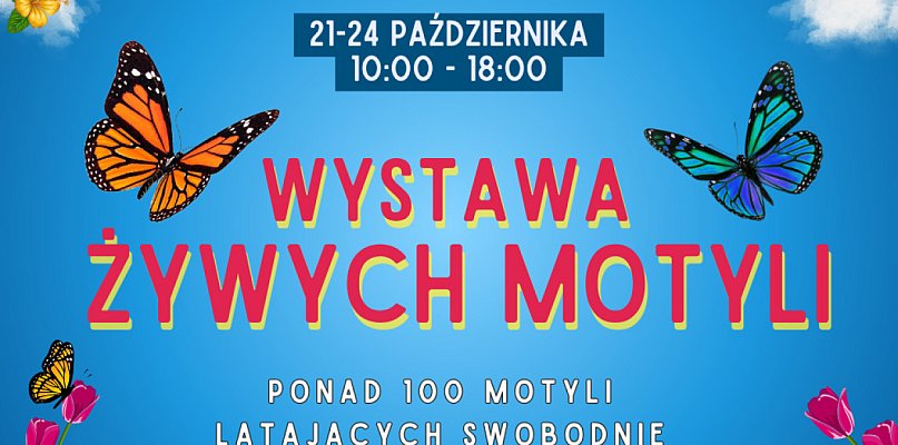 Tropikalny ogród pełen magii w sercu Kolna - 48522