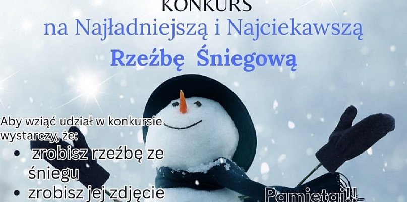 Śniegowe rzeźby to nie tylko bałwany - 51016