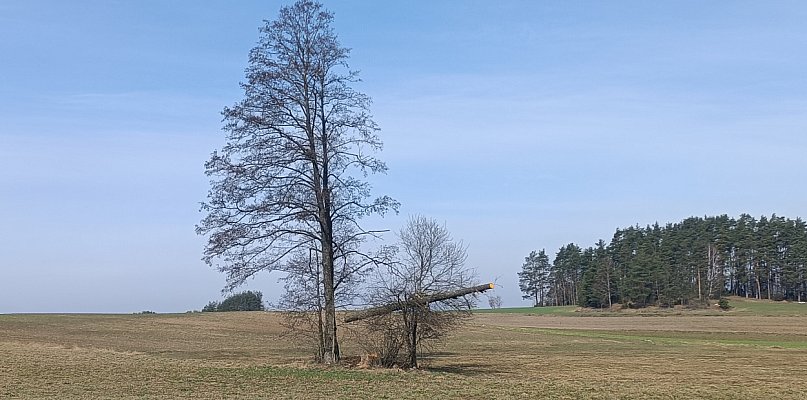 Zobaczcie, co uchwycił obiektyw na trasie Kolno - Górskie