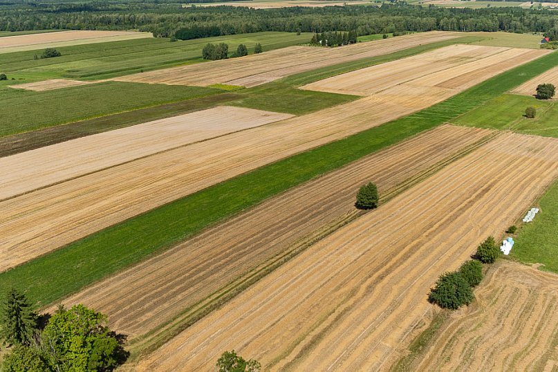 Nie przegap szansy i zmieniaj swoją wieś!