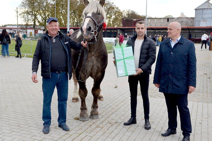 69. Wystawa-Sprzedaż Ogierów