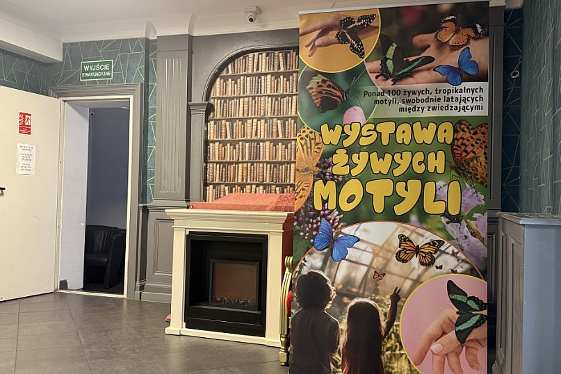 Wystawa Żywych Motyli