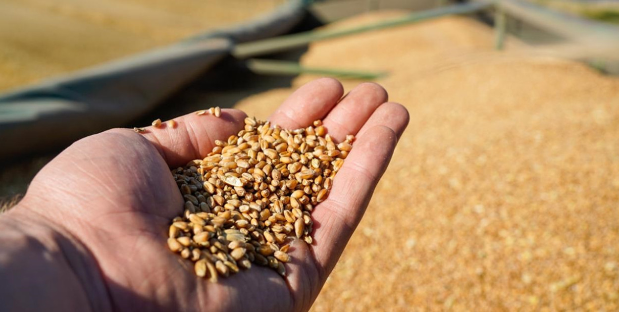 ARiMR w Kolnie przypomina o kończących się naborach