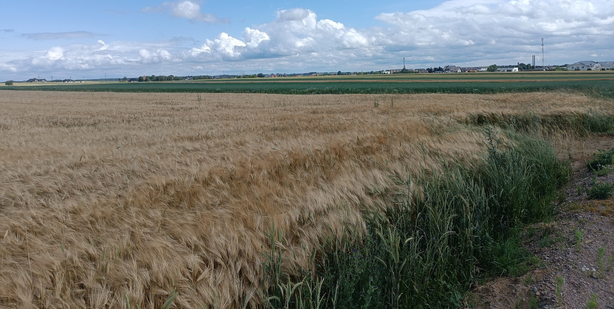 Planowane inwestycje na terenie Kolna