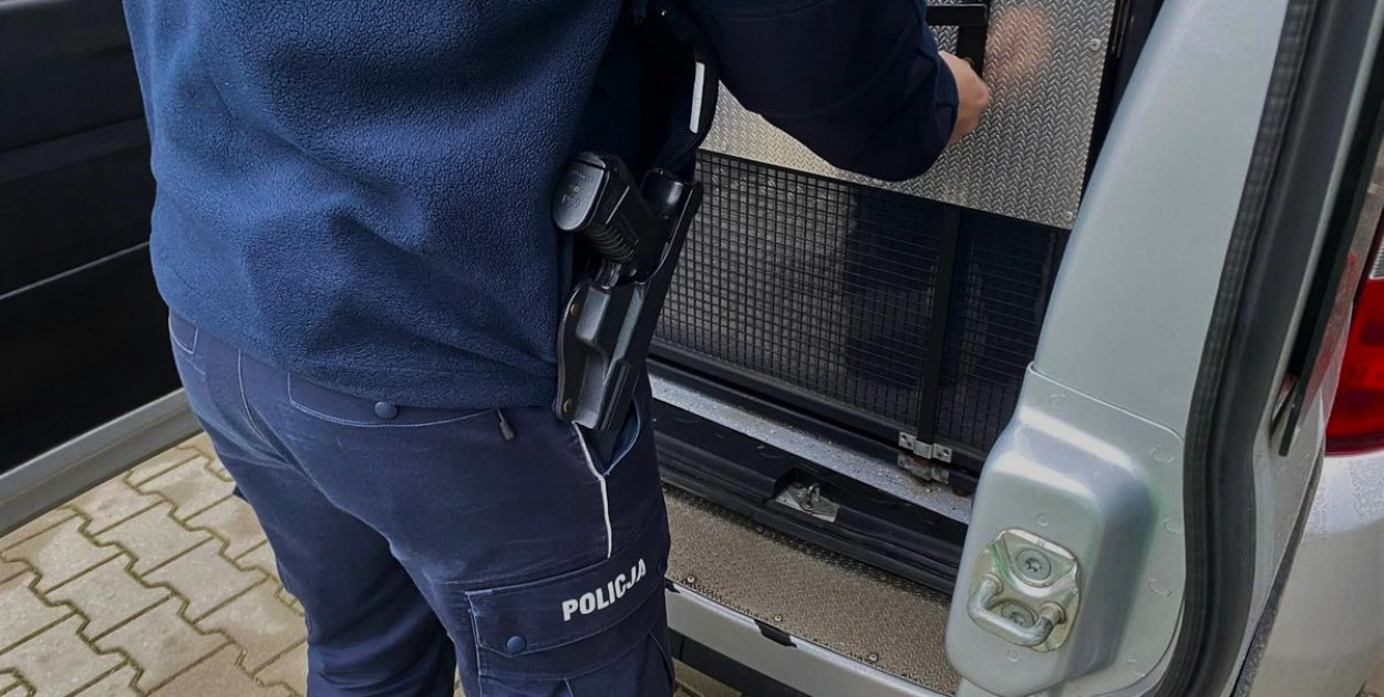Teraz mężczyzna najbliższe 30 dni spędzi w zakładzie karnym (fot. KPP Kolno)