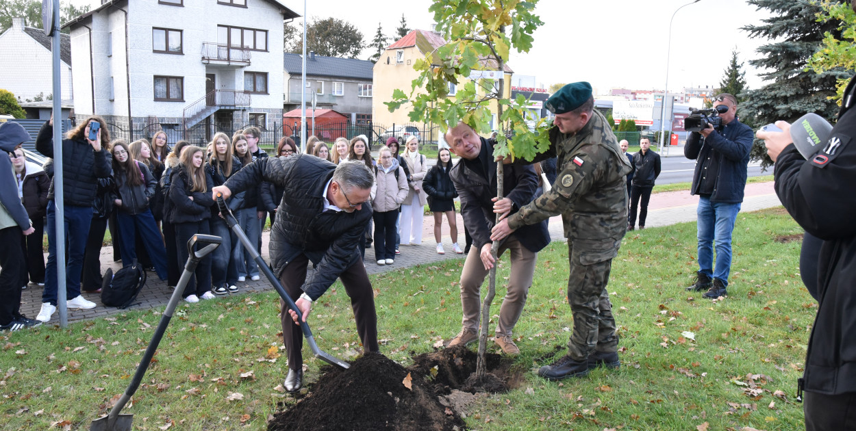 W pobliżu historycznego Dębu Wolności posadzono dziś dwa wyjątkowe drzewa (fot. A. Konopka)
