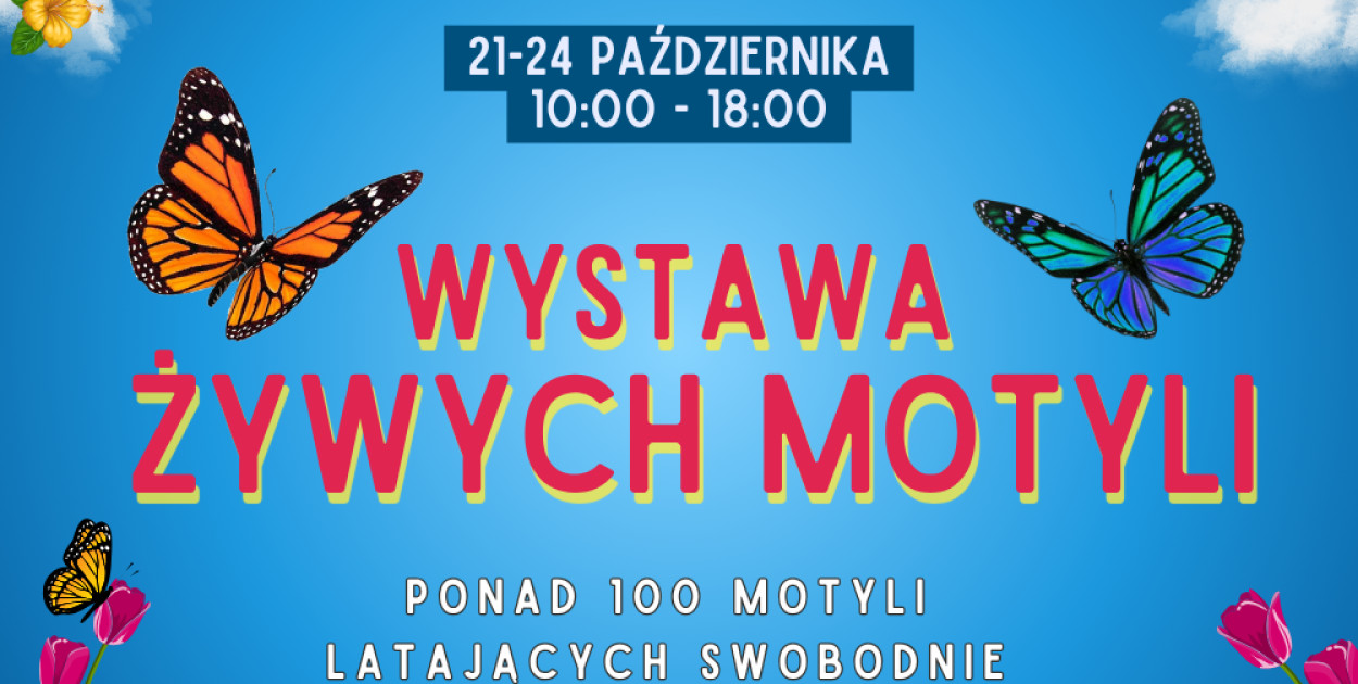 Dla Czytelników Kolniaka24 mamy bezpłatne wejściówki. Bilety  trafią do Czytelników, którzy prześlą na adres redakcji Kolniaka24 emaila z tytułem wiadomości \"Wystawa motyli\"