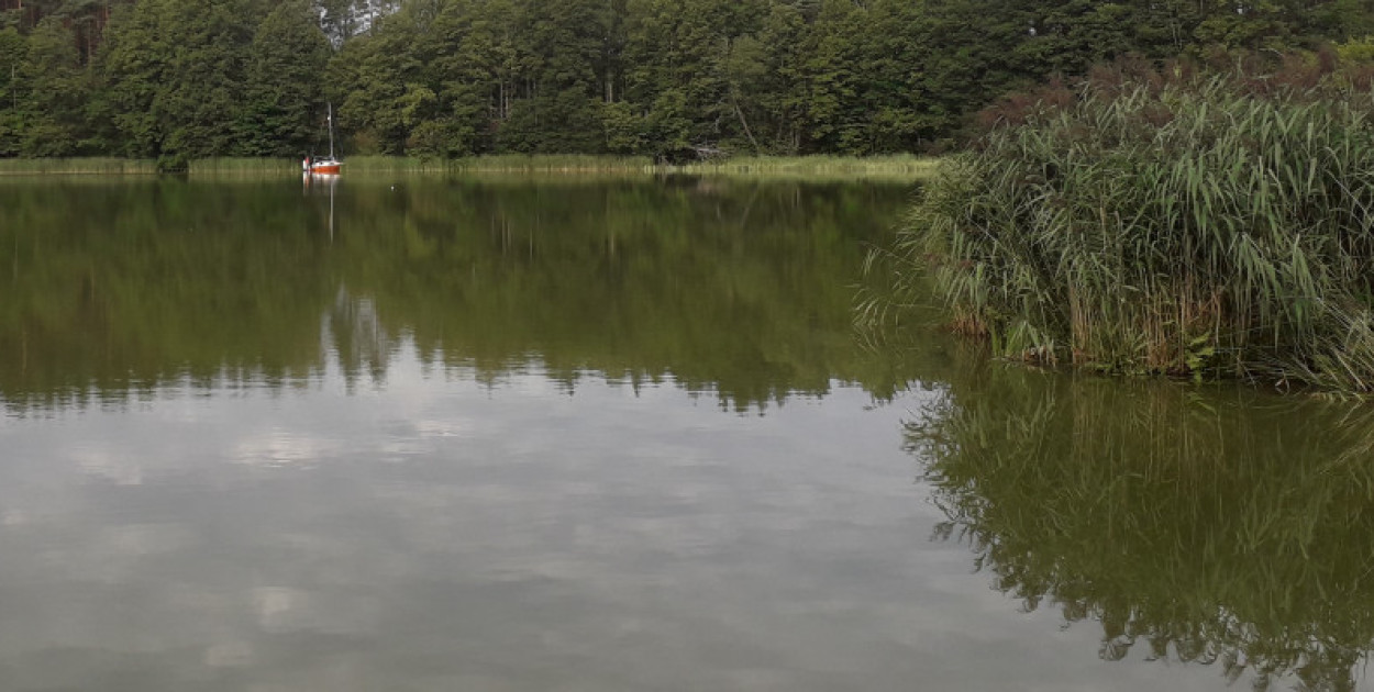 Zdjęcie ilustracyjne