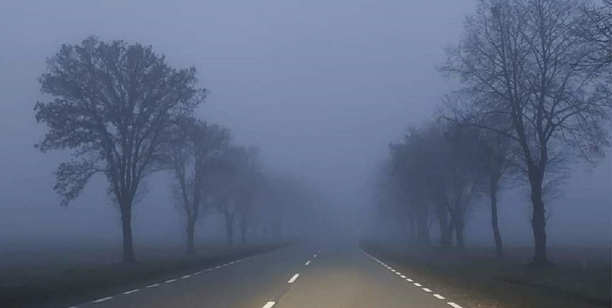 Fot. mazowiecka.policja.pl 