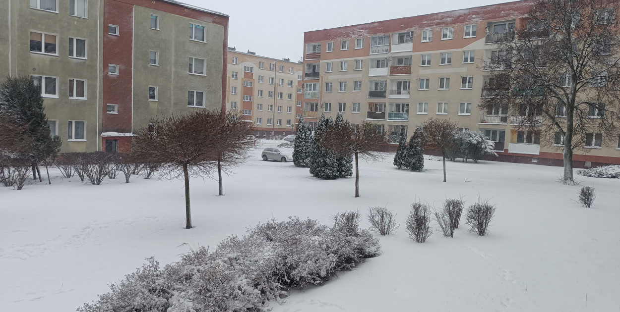 Kolno zasypane śniegiem