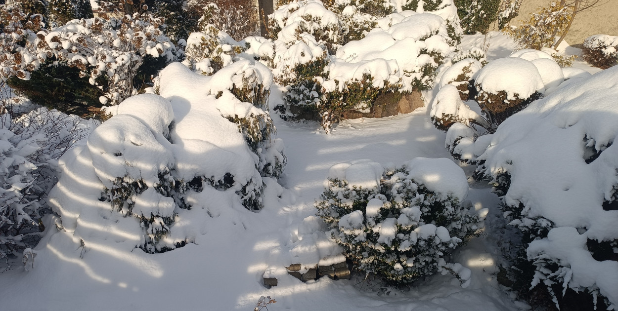 Prognozuje się temperaturę minimalną w nocy miejscami od -17°C do -14°C