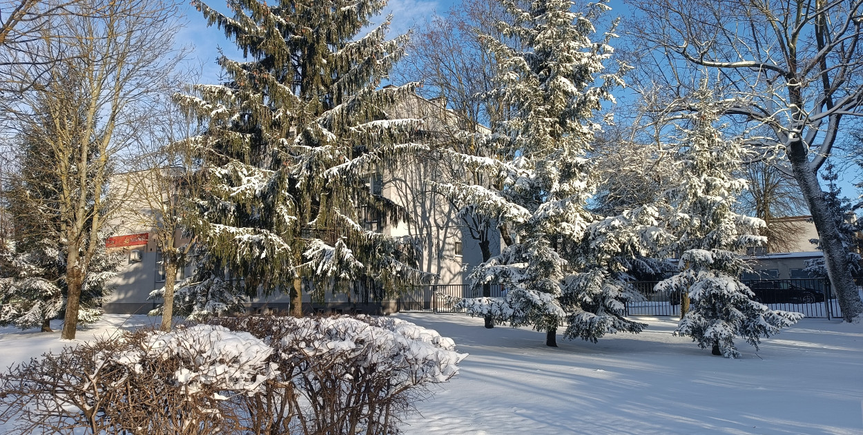 Prognozowane są opady śniegu powodujące przyrost pokrywy śnieżnej o 10 cm do 15 cm