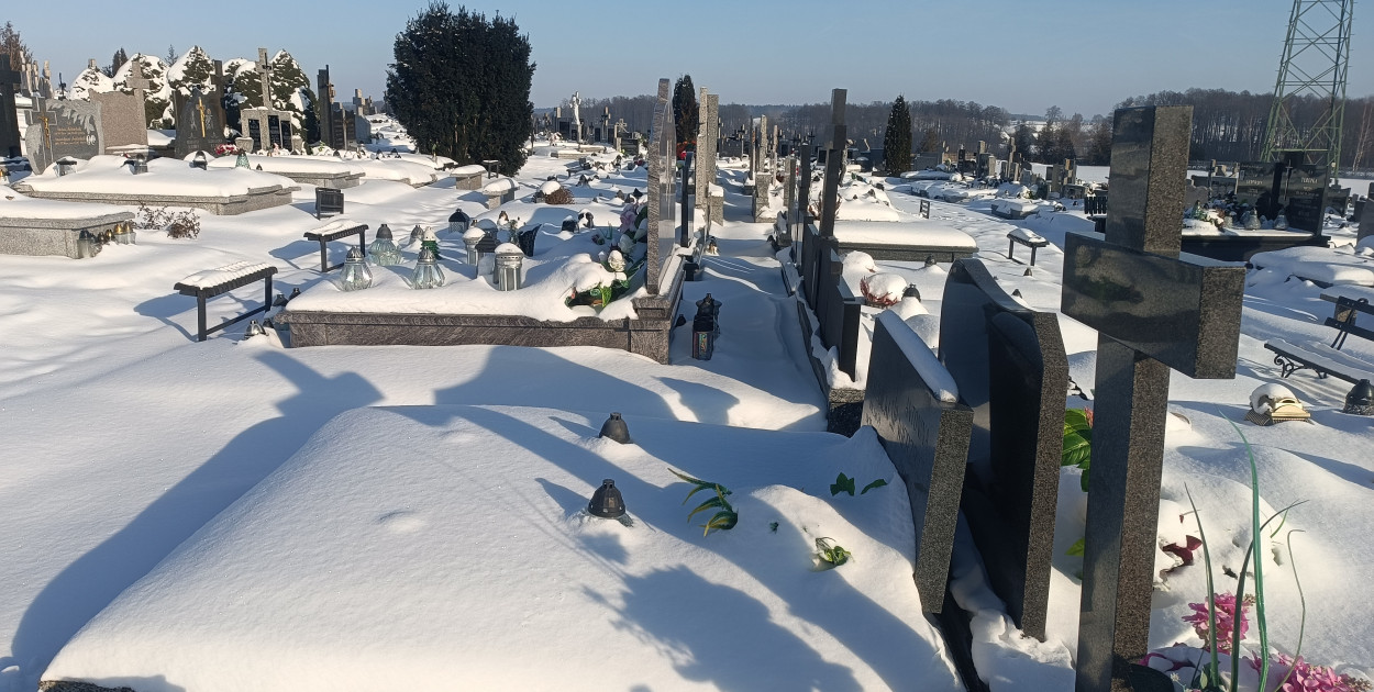 Cmentarz Komunalny w Kolnie