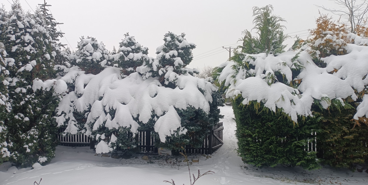 Najbliższe dni mroźne, z temperaturą w nocy nawet do minus 28 st. C