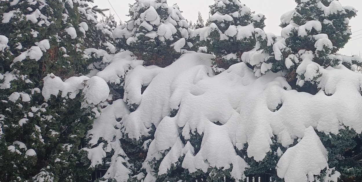 Silny mróz w powiecie kolneńskim
