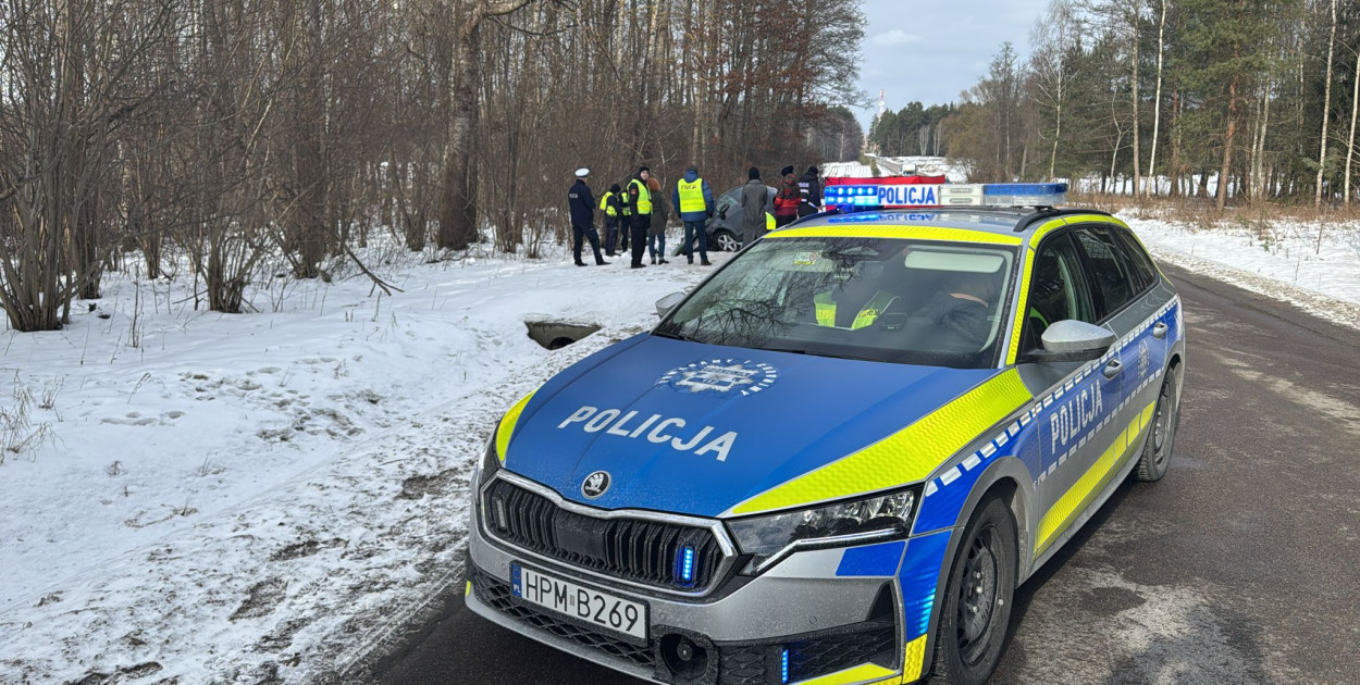 Tragiczne zderzenie z łosiem. Kierowca zginął na miejscu