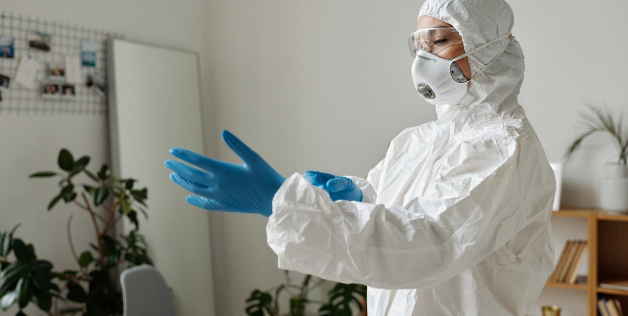 Jak wybrać najlepszą firmę deratyzacyjną w Białymstoku?