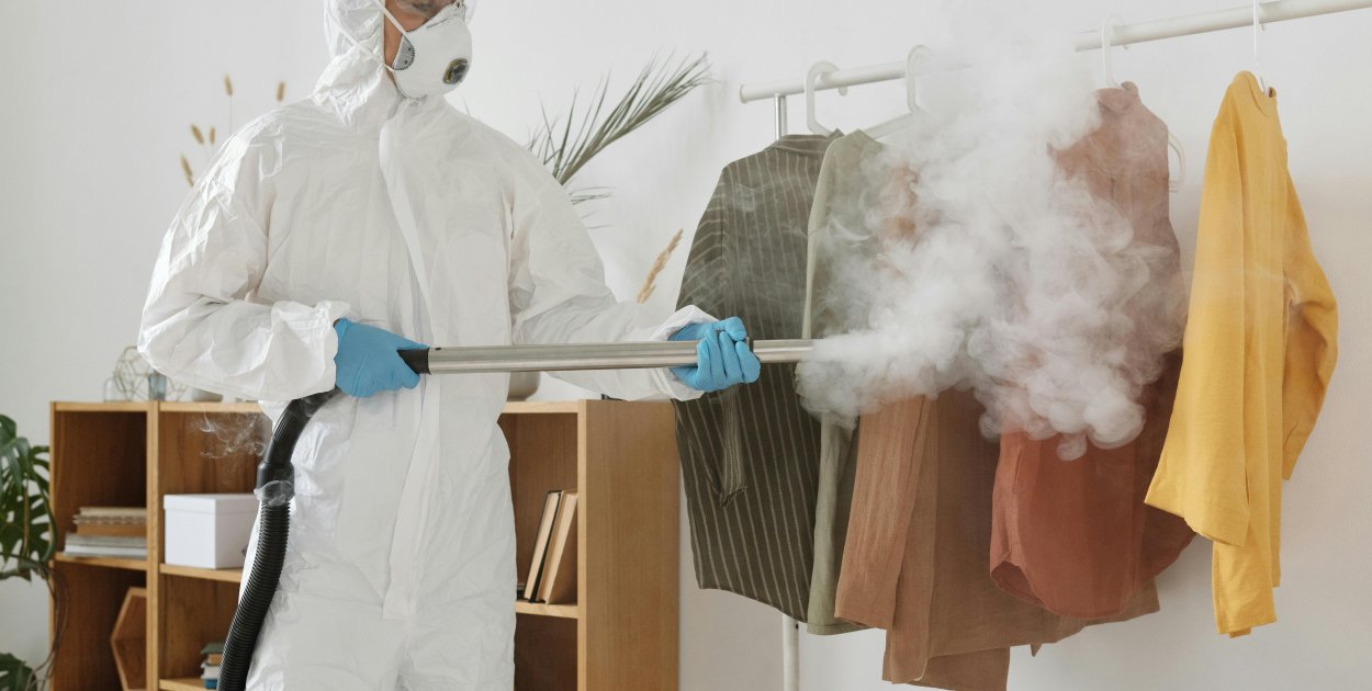 Pluskwy w mieszkaniu – jak skutecznie rozpoznać problem i trwale się go pozbyć?