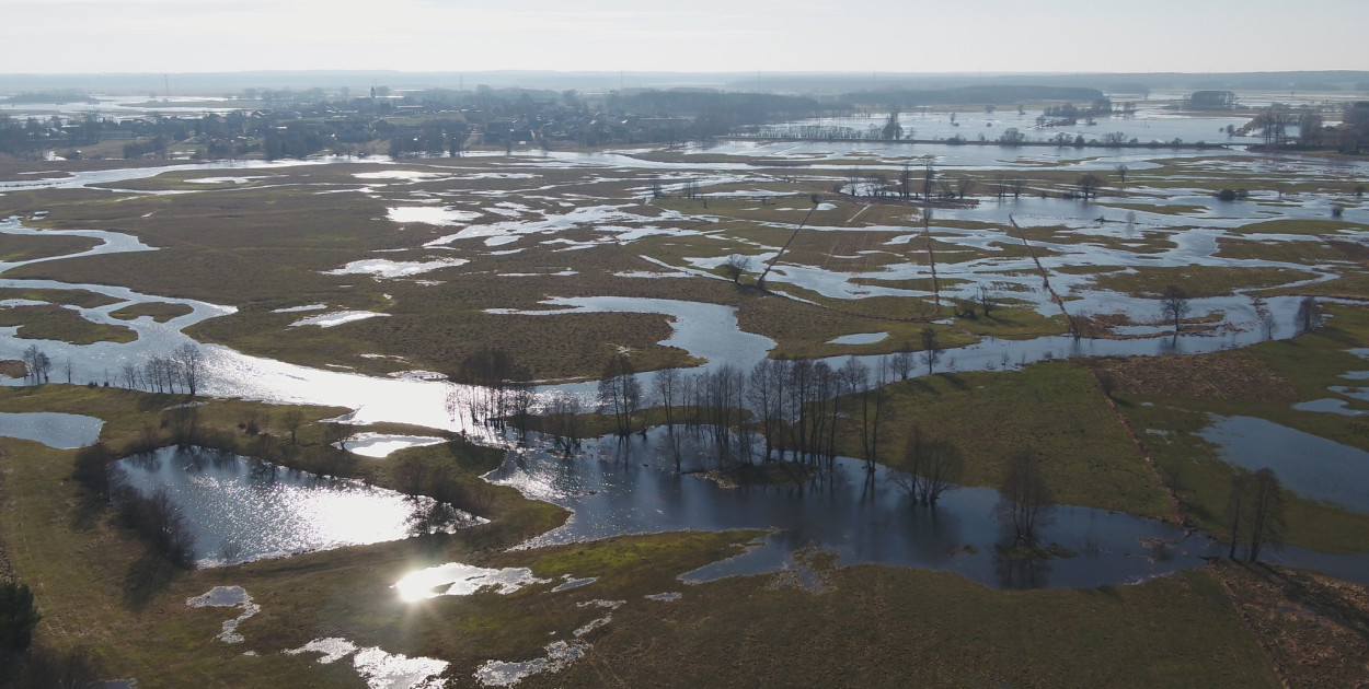 Dobry czas na obserwacje ptaków nad Narwią i Biebrzą