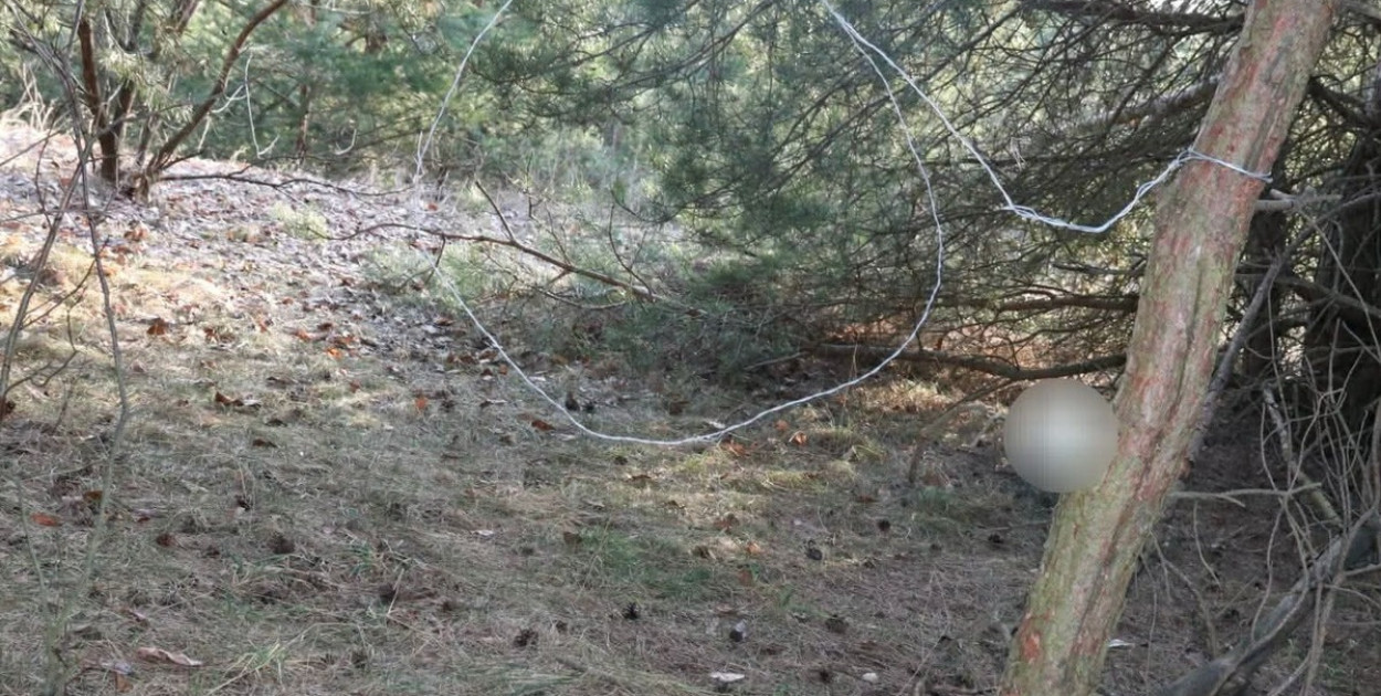 Kolneńscy kryminalni zatrzymali  podejrzanego o kłusownictwo