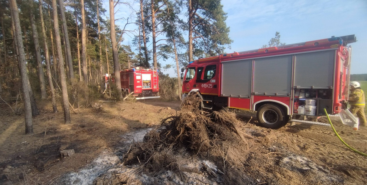 Pożar lasu w gminie Kolno