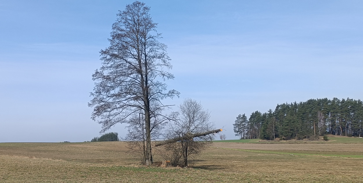 Zobaczcie, co uchwycił obiektyw na trasie Kolno - Górskie