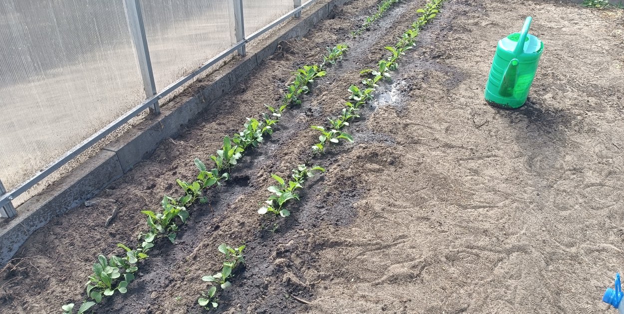 Ostrzeżenie pierwszego stopnia dla miejscowości Kolno i dla okolic