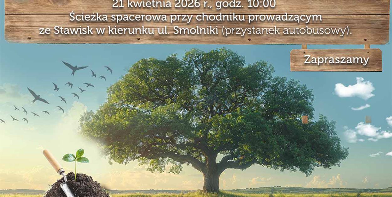 Dęby na 600-lecie (plakat)